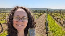 Certified Sommelier Reveals 4 Hidden European Wine Gems for Your Travel List