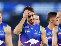 Absurd: North Melbourne captain criticises AFL over Curtis tribunal decision