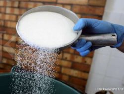 Perkuat lini bisnis B2B, Aman Agrindo (GULA) akuisisi pabrik gula di Sragen