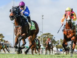 ‘Very Serious’: Racehorse Owners Warn Minister About Breast Cancer Drug Controversy