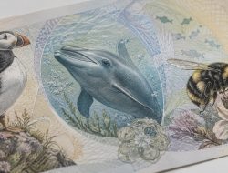 Oz Notes: Puffins, Dolphins & Bees?