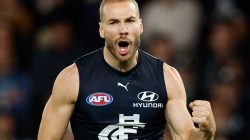 AFL football boss flags two rule changes as Tassie stadium faces “compromises”