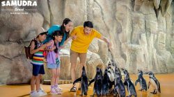Samudra Ancol: Promo 499 Mulai 76 Ribu!
