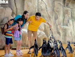 Samudra Ancol: Promo 499 Mulai 76 Ribu!