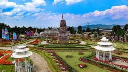 Tiket Celosia 2026: Gratis & Diskon 50%!