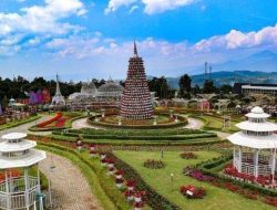 Tiket Celosia 2026: Gratis & Diskon 50%!