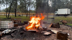 Devastating $100,000 loss as tiny invader spreads across Australia: ‘Sobering day’