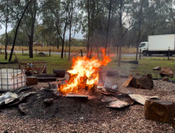 Devastating $100,000 loss as tiny invader spreads across Australia: ‘Sobering day’