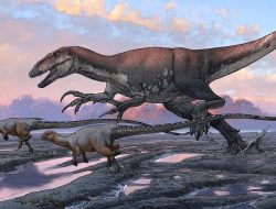 Scientists share discoveries about Australia’s polar past and the dinosaurs that roamed