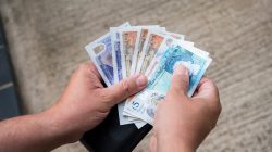 400,000 Votes to Choose Australia’s Banknote Animals