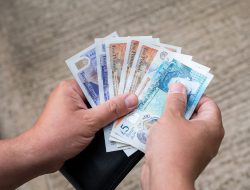 400,000 Votes to Choose Australia’s Banknote Animals