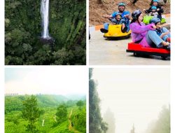 Desa Selabintana: Surga Sejuk di Kaki Gunung Gede, Cukup 1.5 Jam Dari Jakarta