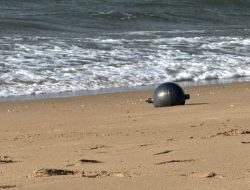 Australia uncovers mystery of beach ‘space balls’