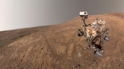 NASA Rover Discovers Organic Carbon on Mars