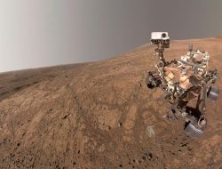 NASA Rover Discovers Organic Carbon on Mars