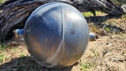 Secret behind silver balls on Australian beaches uncovered