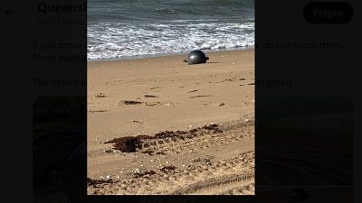 Space debris washes up on Queensland beach: ‘Space balls’ found, avoid contact