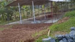 Diduga Bangun Kandang Sapi di Tengah Pemukiman