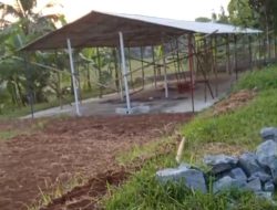 Diduga Bangun Kandang Sapi di Tengah Pemukiman