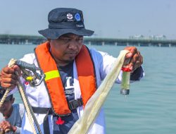 Terminal Teluk Lamong Perkuat Konservasi Lingkungan Lewat Pemetaan Biota Laut