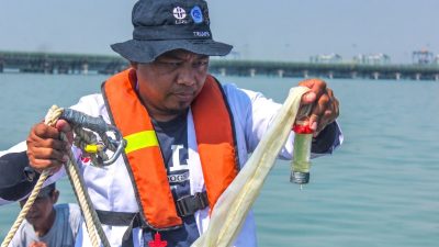 Terminal Teluk Lamong Perkuat Konservasi Lingkungan Lewat Pemetaan Biota Laut