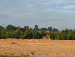LSM Gebuki Minta APH Usut Penimbunan Mangrove di Depan PT Marcopolo