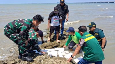Karantina Jawa Timur Gagalkan Penyelundupan 30.789 Benih Lobster