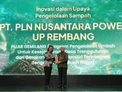 15 Unit Pembangkit PLN NP Raih 71 Penghargaan di ENSIA 2026