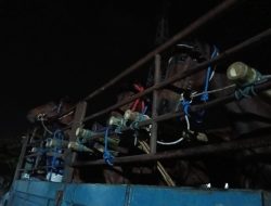 Karantina Jatim Waspadai Surra dalam Lalu Lintas Kuda Antarwilayah