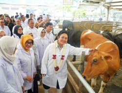 Komisi IV DPR RI Tekankan Penguatan Populasi dan Produktivitas Sapi Perah Lokal
