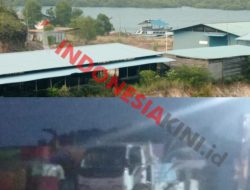 Bea Cukai Batam Disorot, Penyelundupan di Pelabuhan Tikus Jembatan 3 dan 6 Barelang Masih Terjadi