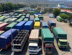 Ratusan Truk Bisa Ditampung, Pelindo Tanjung Wangi Buka Dua Fasilitas Parkir Insidentil