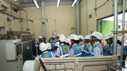 PLN NP Kenalkan Strategi Transisi Energi ke 40 Peserta Program P3MD