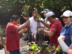 PLN UIT JBM Perkuat Ekosistem Pesisir Bali dengan 16.500 Bibit Mangrove