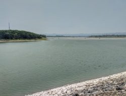 Bendungan Sutami Jadi Lokasi PLTS Terapung 100 MW, Ini Target Operasionalnya