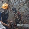 ParagonCorp Dorong Kolaborasi Penanganan Karhutla, Salurkan Bantuan Medis dan Logistik