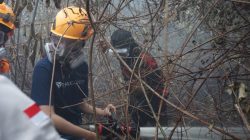 ParagonCorp Dorong Kolaborasi Penanganan Karhutla, Salurkan Bantuan Medis dan Logistik