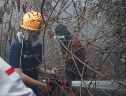 ParagonCorp Dorong Kolaborasi Penanganan Karhutla, Salurkan Bantuan Medis dan Logistik